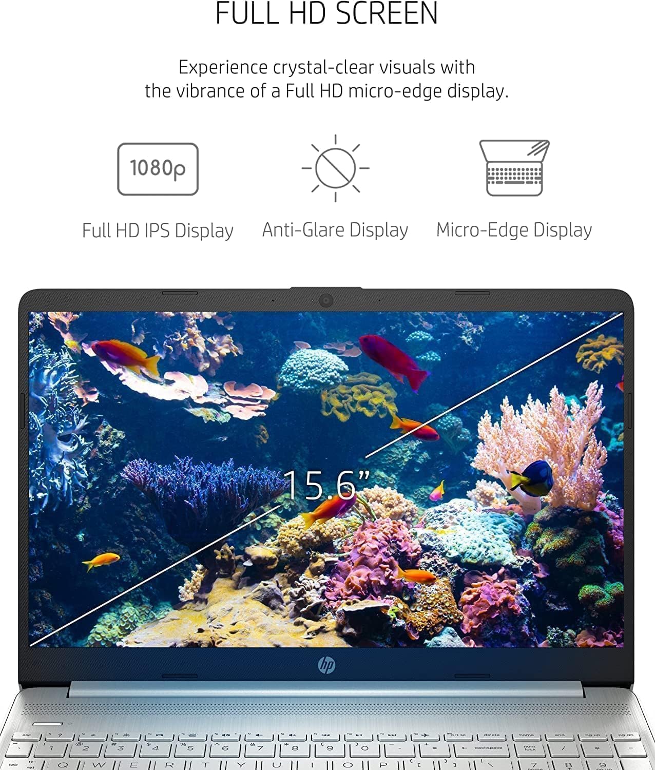 HP Laptop Review