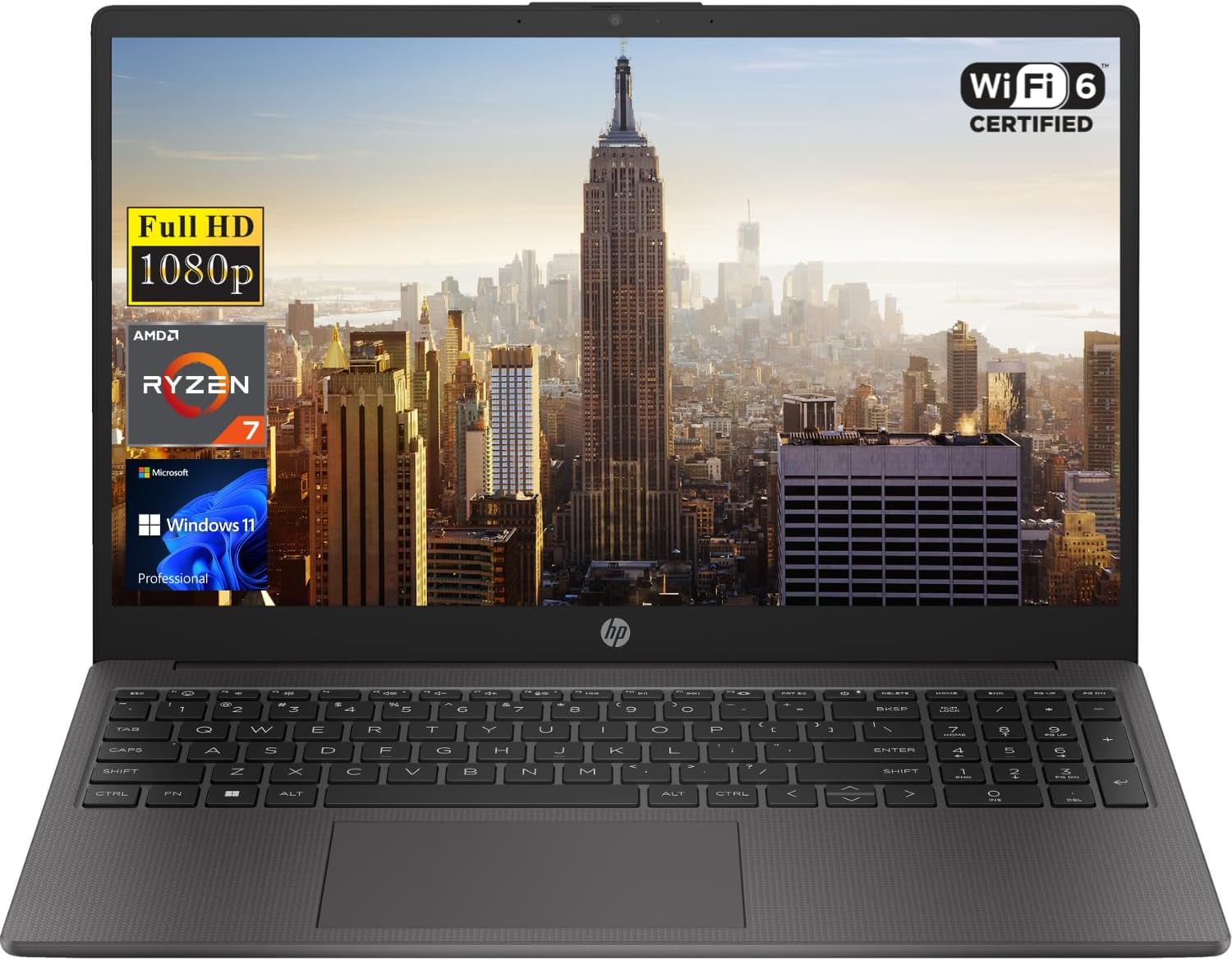 HP Newest 255 G10 Review